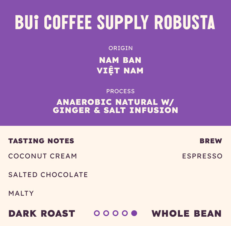 Bui Coffee Supply Robusta