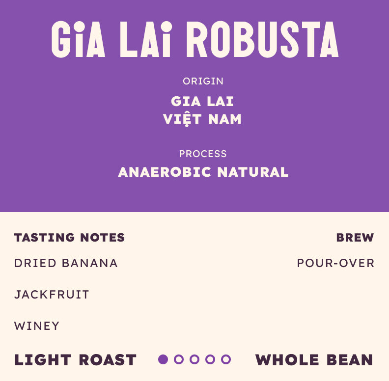 Gia Lai Fine Robusta
