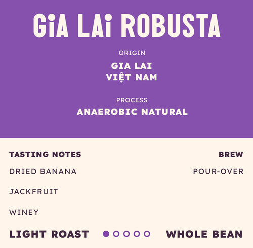 Gia Lai Fine Robusta