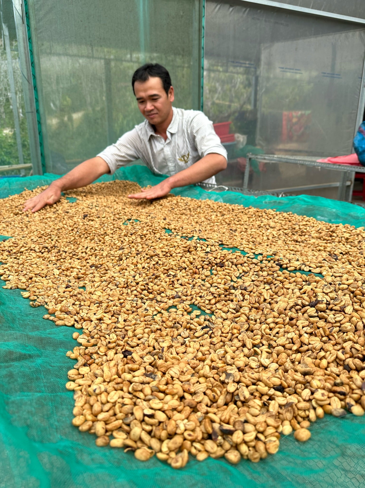 Lâm Đồng Arabica