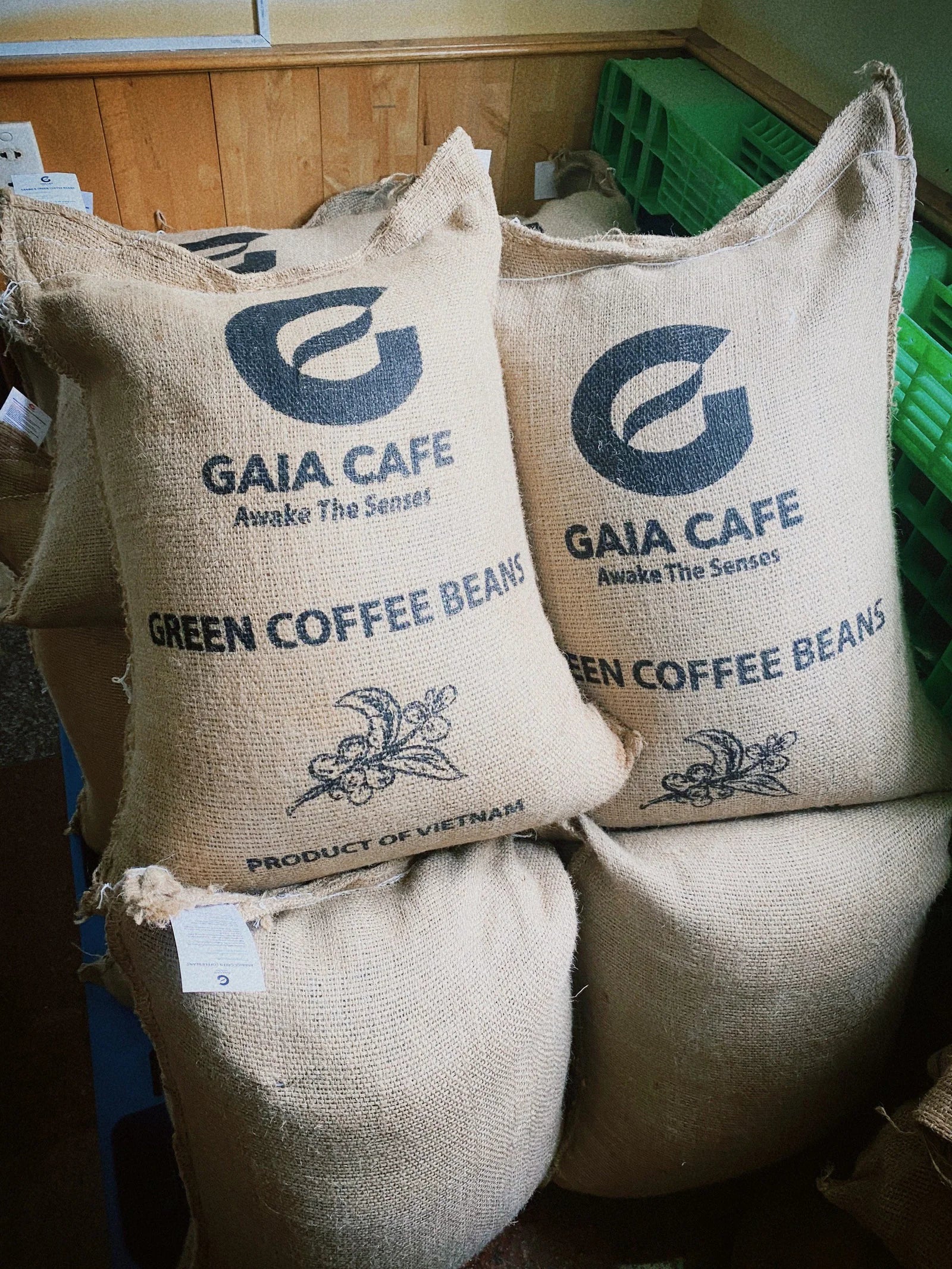 Gia Lai Fine Robusta