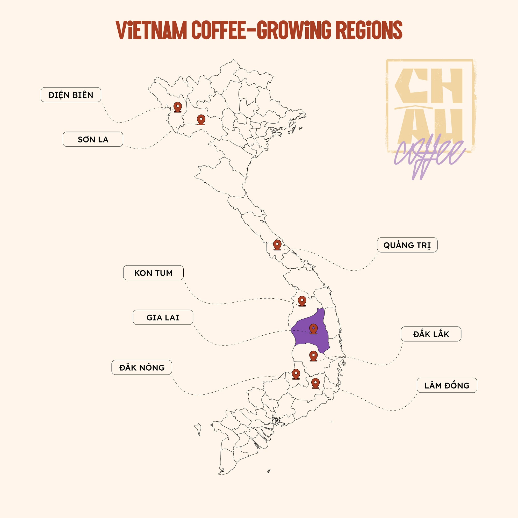Gia Lai Fine Robusta