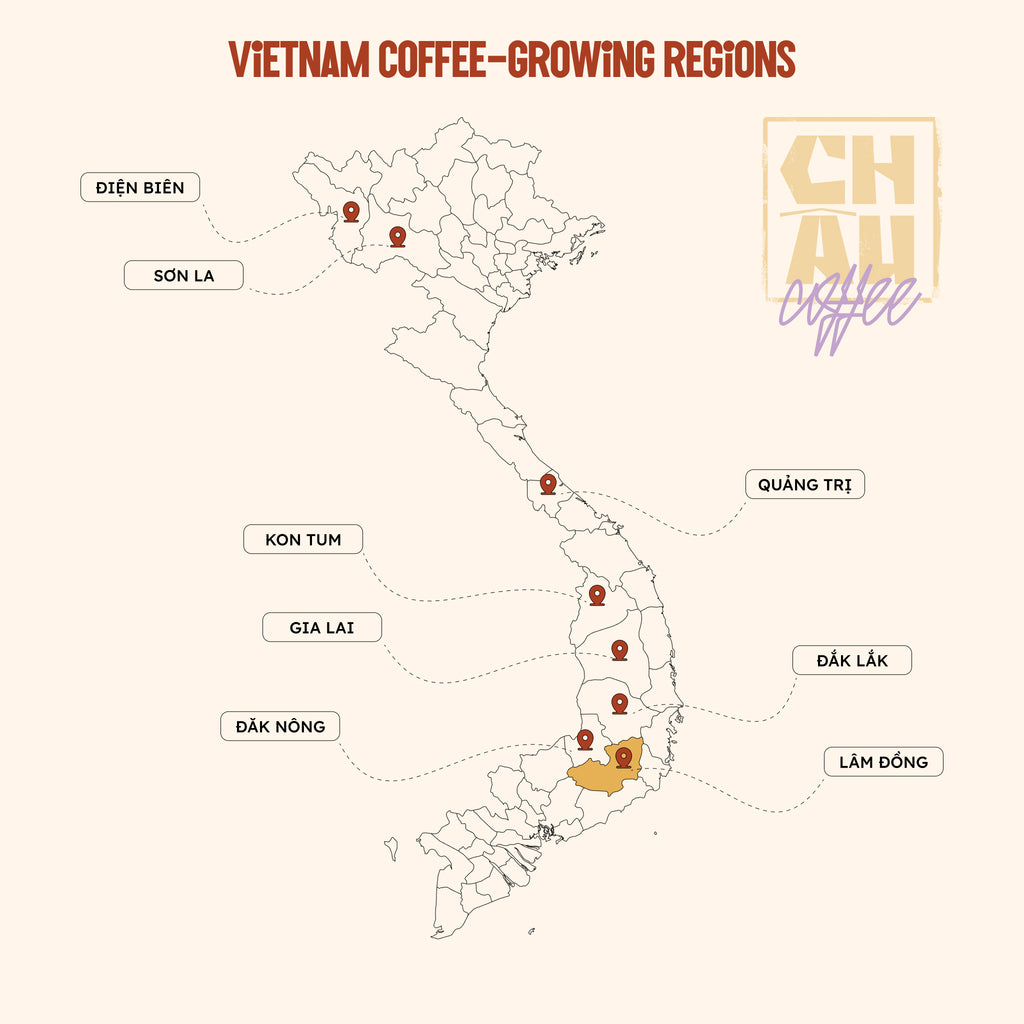 Lâm Đồng Arabica