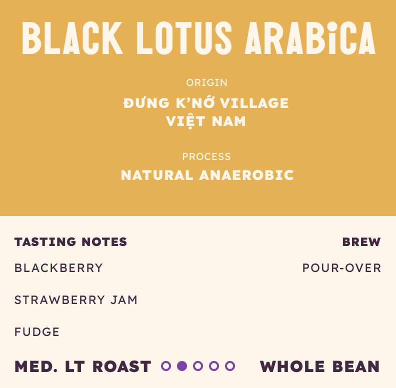 Black Lotus Arabica