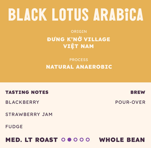 Black Lotus Arabica