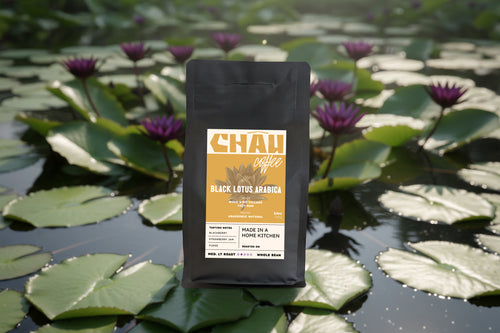 Black Lotus Arabica