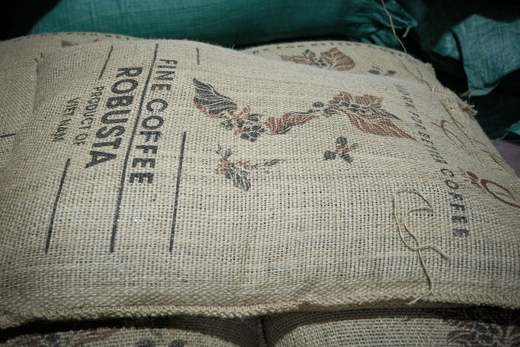 Bui Coffee Supply Robusta