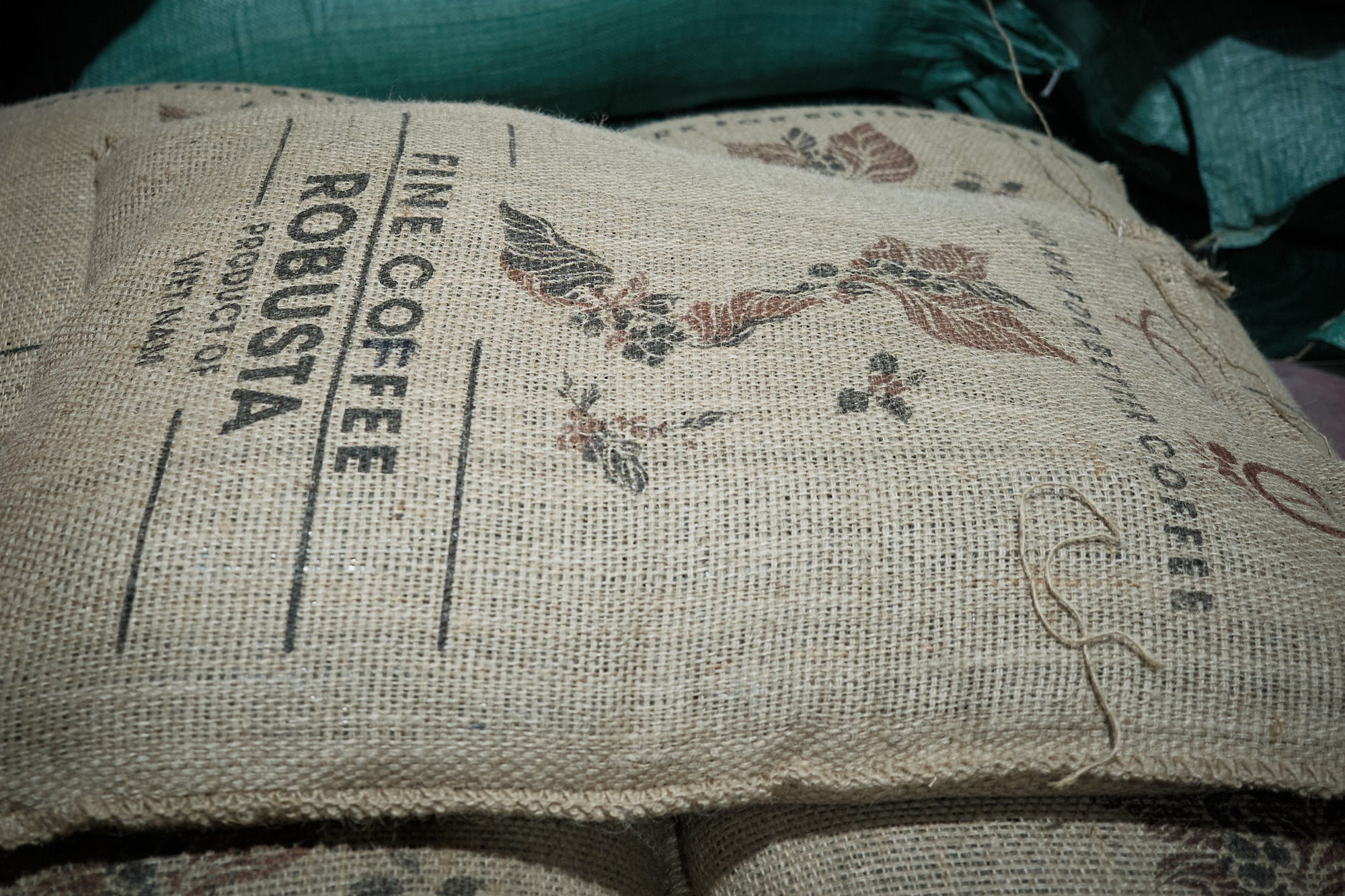 Bui Coffee Supply Robusta