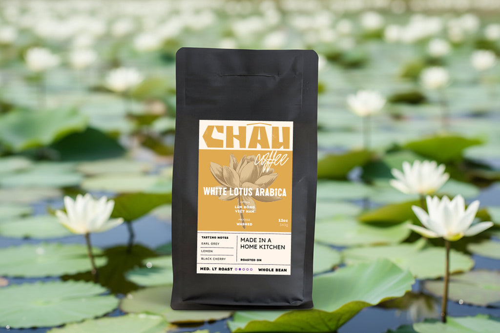 White Lotus Arabica